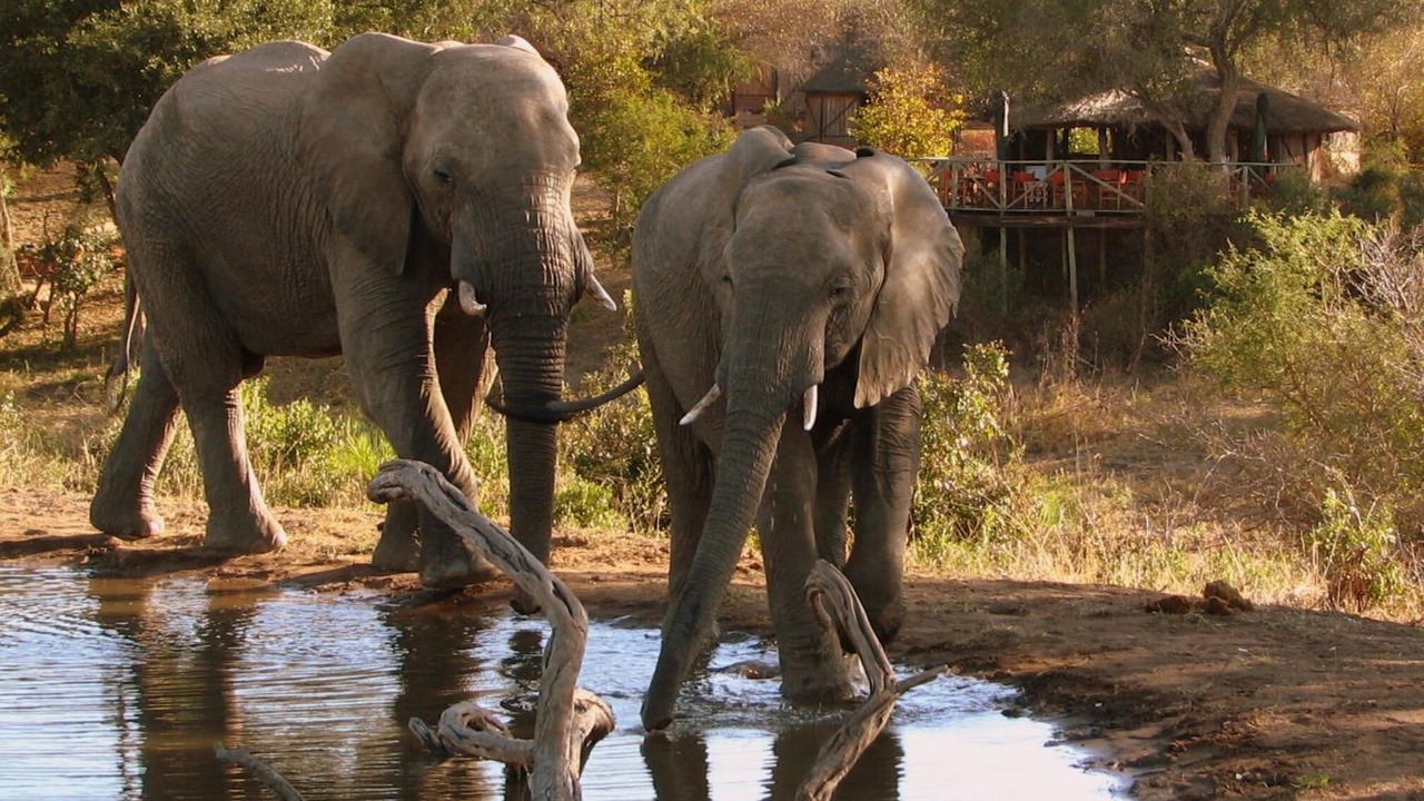 Photo of Outdoor in Thorny Bush Game Reserve