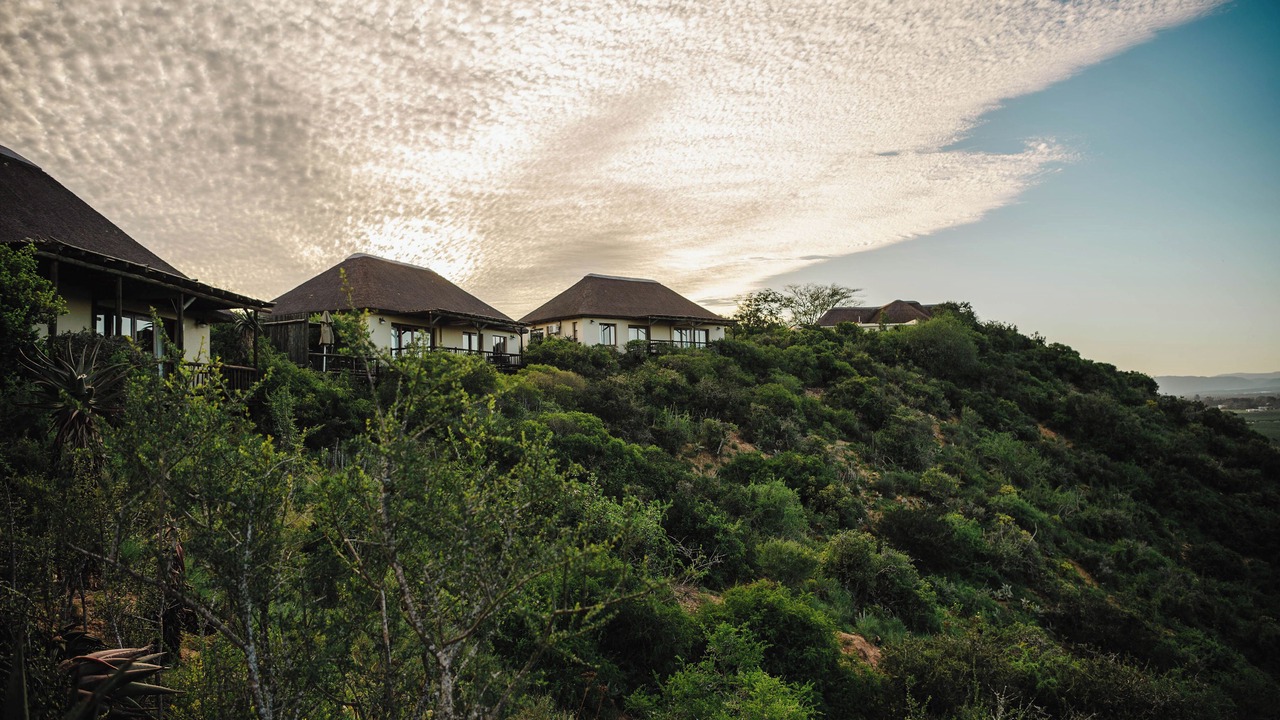 Photo of Outdoor in Addo