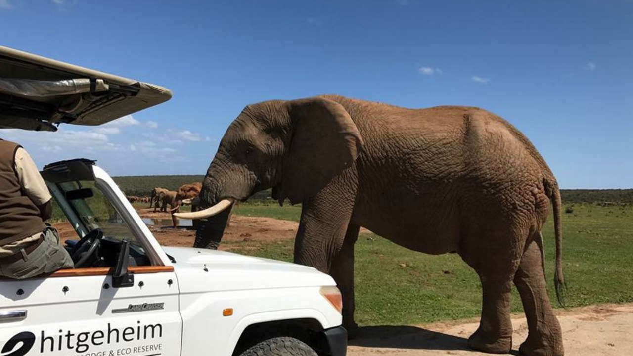 Photo of Others in Addo