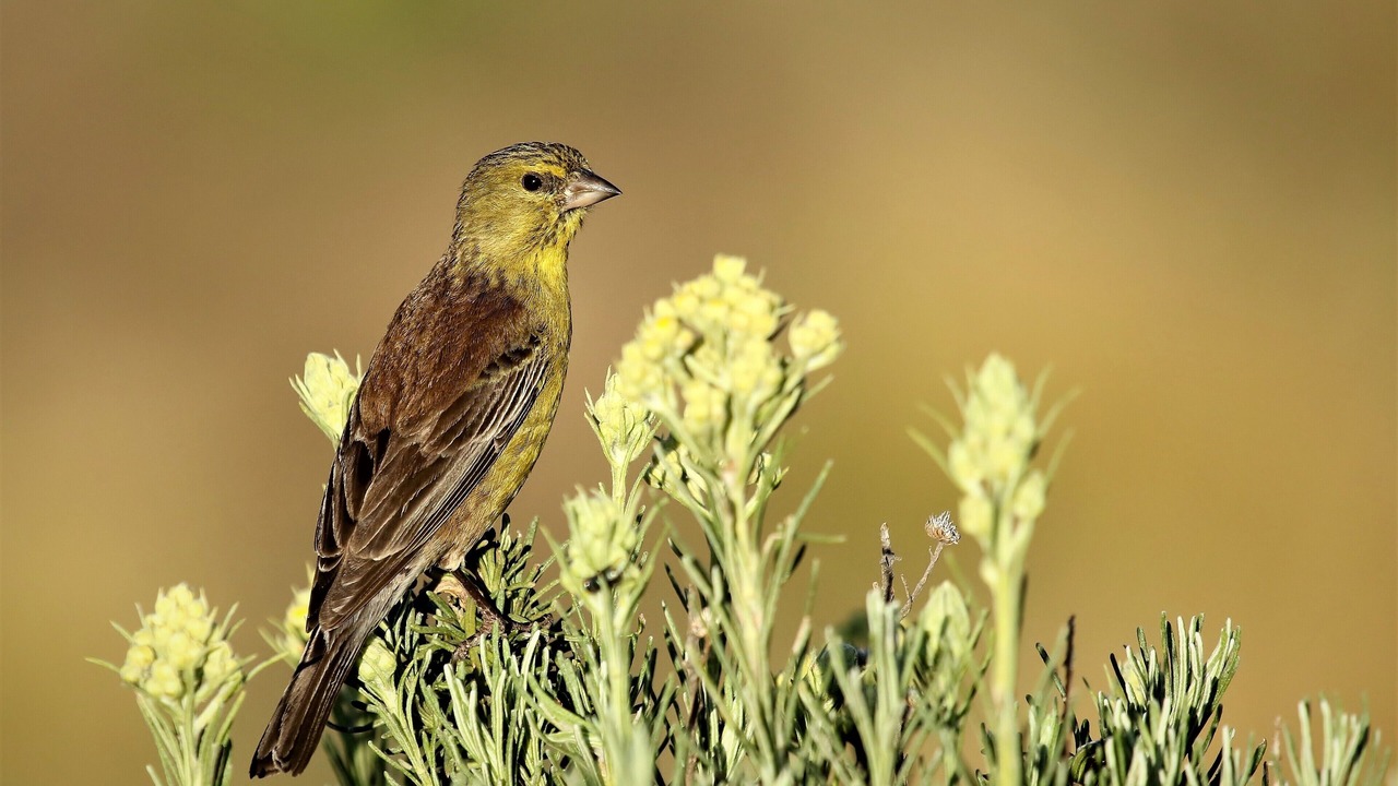 Photo of Outdoor in Rhodes