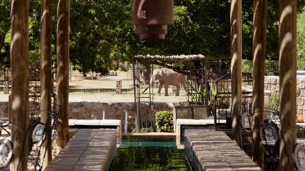 Photo of Outdoor in Westdene