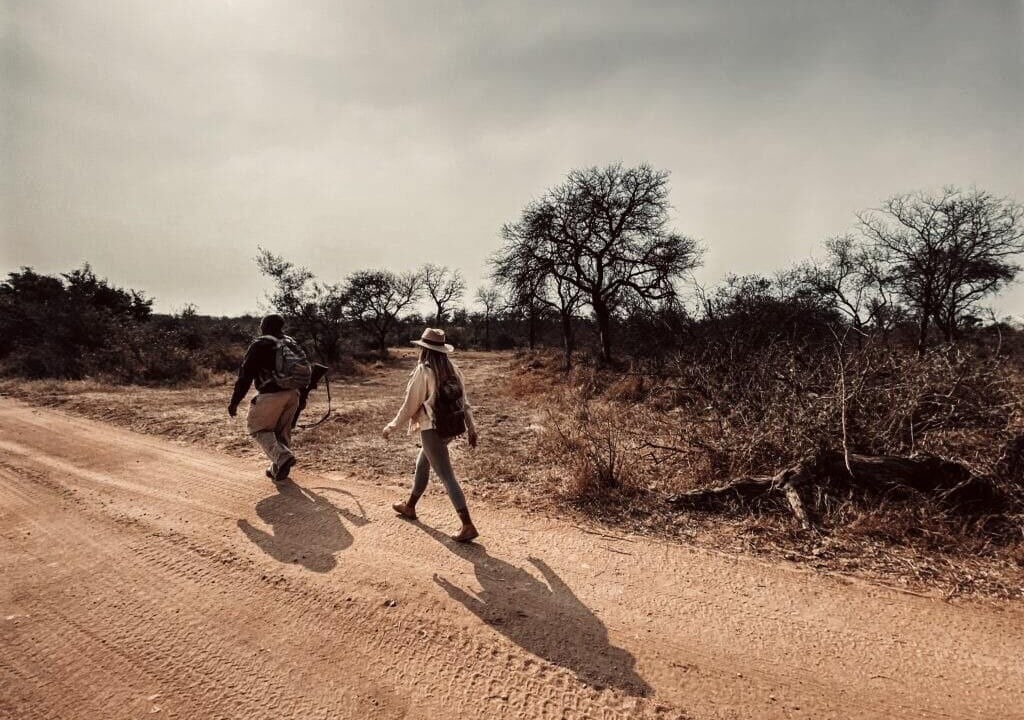 Photo of Others in Thorny Bush Game Reserve