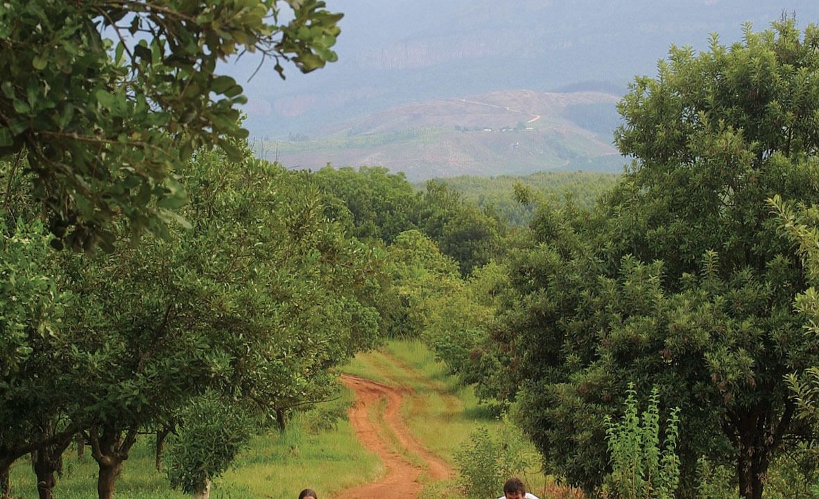 Photo of Others in Tzaneen
