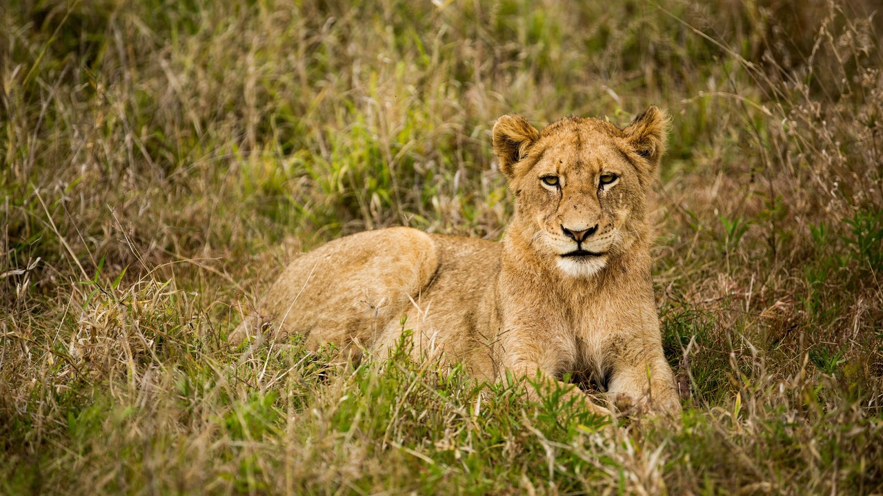 Photo of Others in Kruger National Park