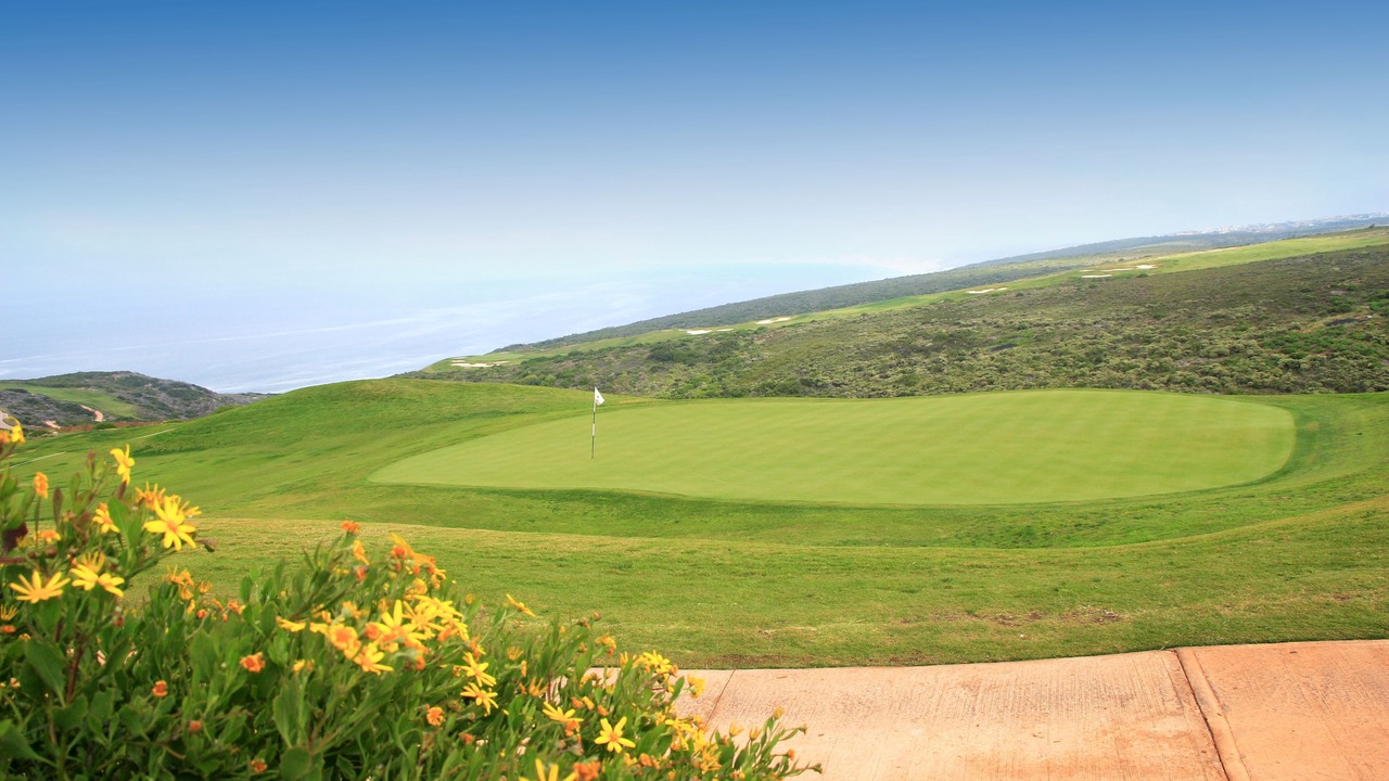 Photo of Others in Pinnacle Point