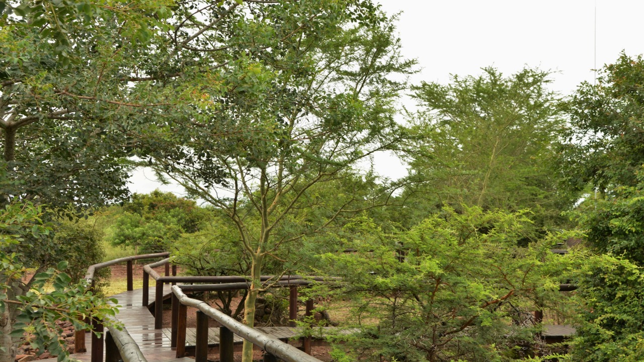 Photo of Outdoor in Kruger National Park