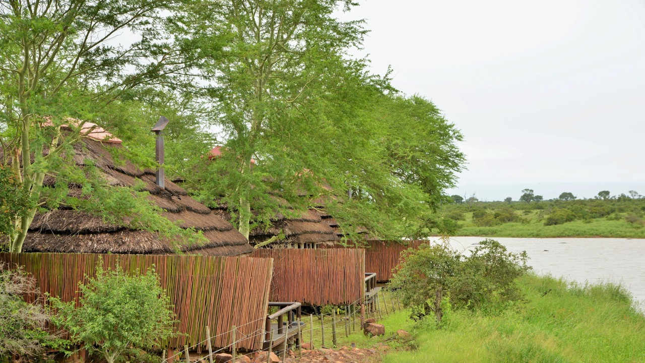 Photo of Others in Kruger National Park