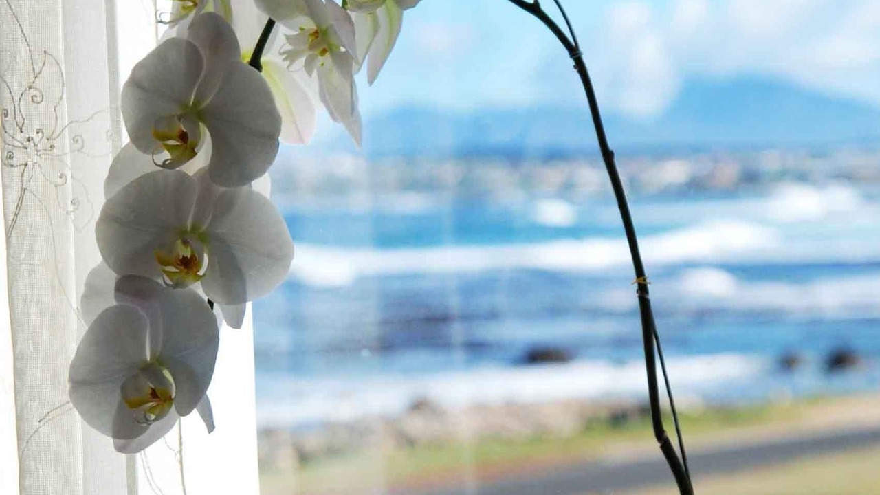 Photo of Bedroom in Sandbaai