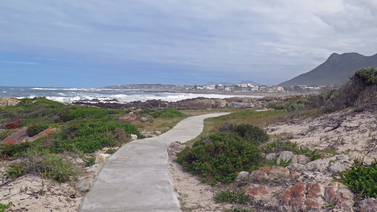 Photo of Others in Sandbaai