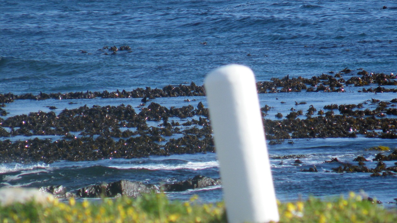 Photo of Others in Sandbaai