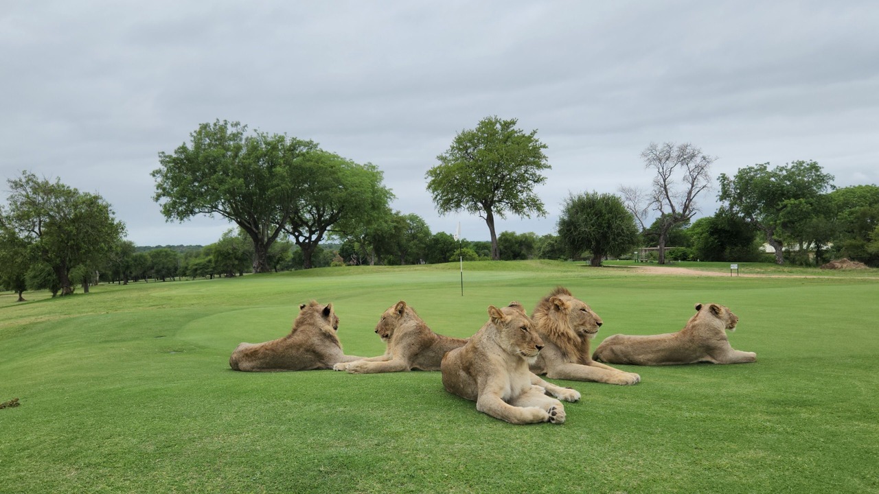 Photo of Others in Kruger National Park