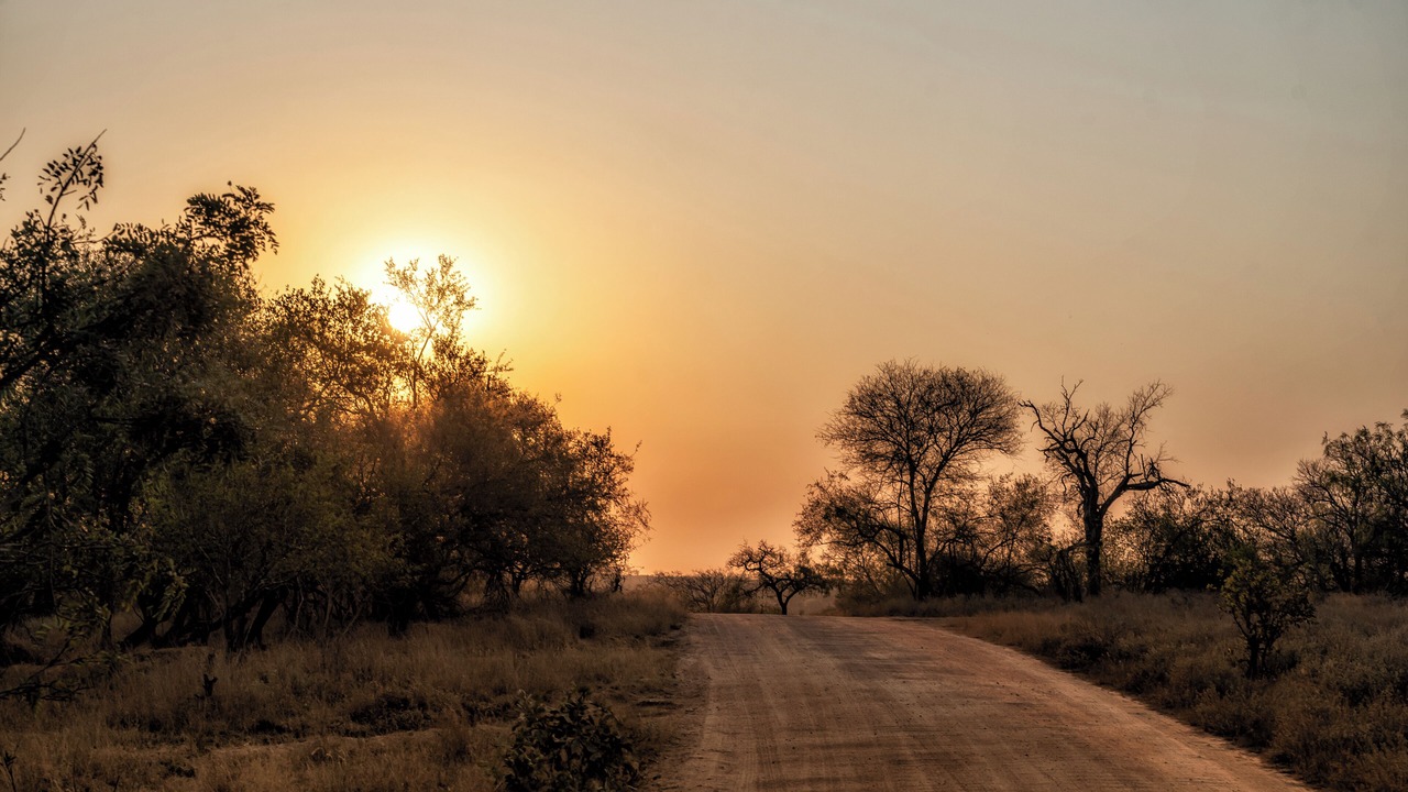Photo of Others in Kruger National Park