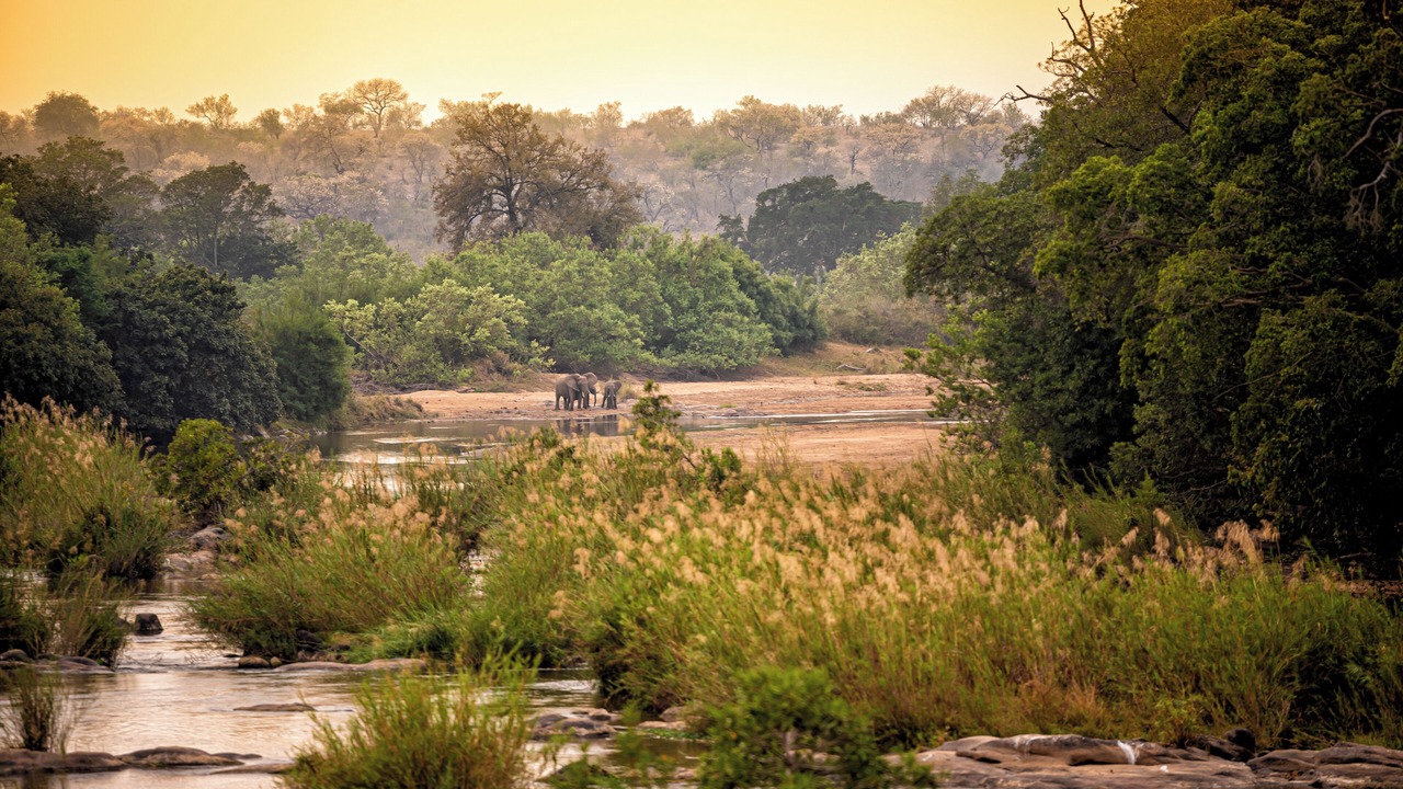 Photo of Others in Kruger National Park