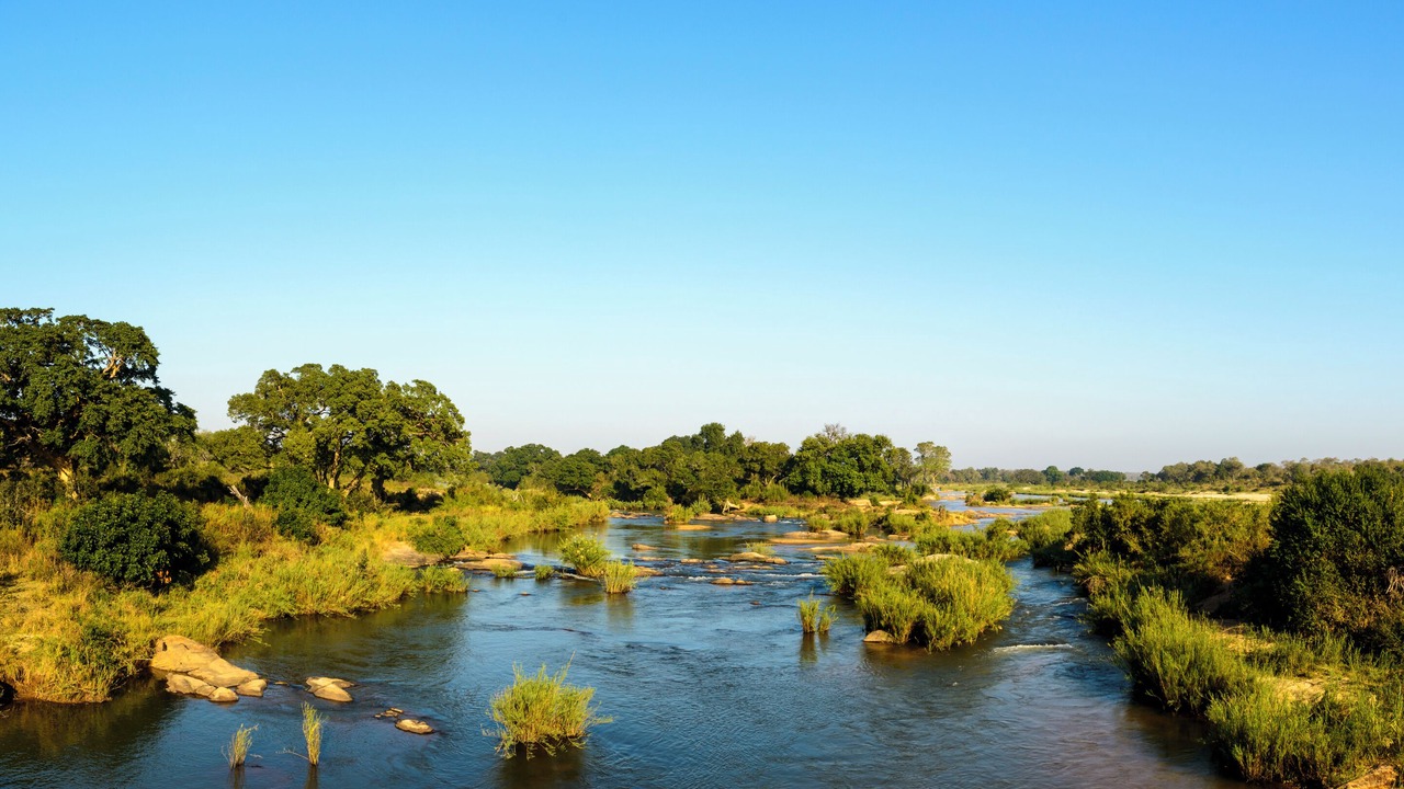 Photo of Others in Kruger National Park