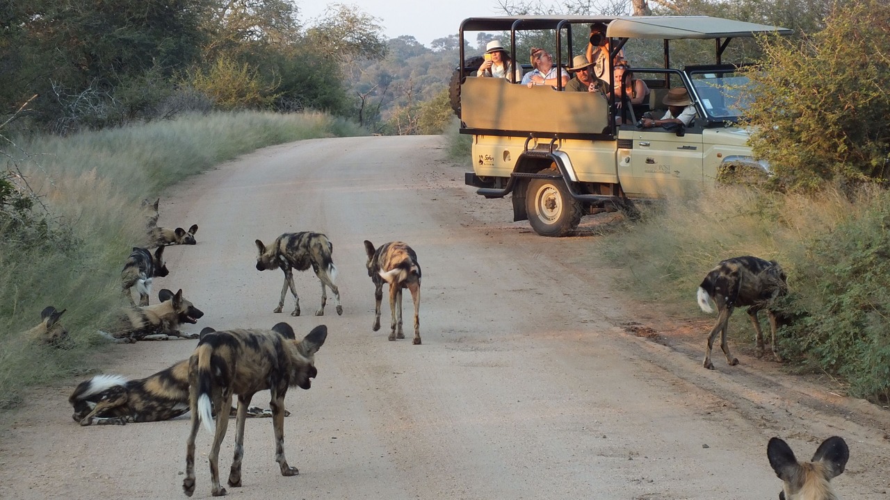 Photo of Others in Kruger National Park