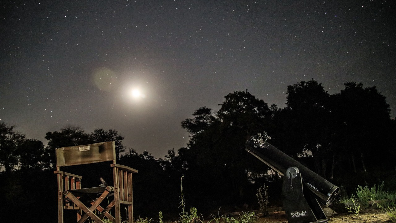 Photo of Others in Kruger National Park