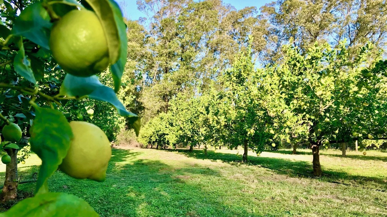Photo of Outdoor in Swellendam