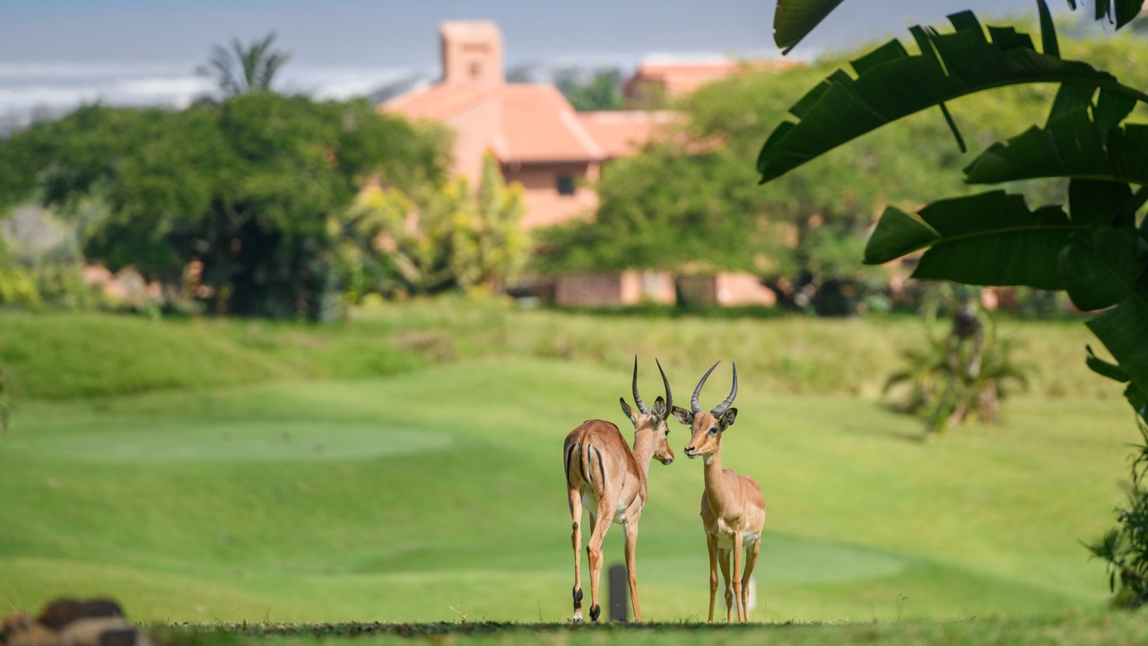 Photo of Outdoor in San Lameer