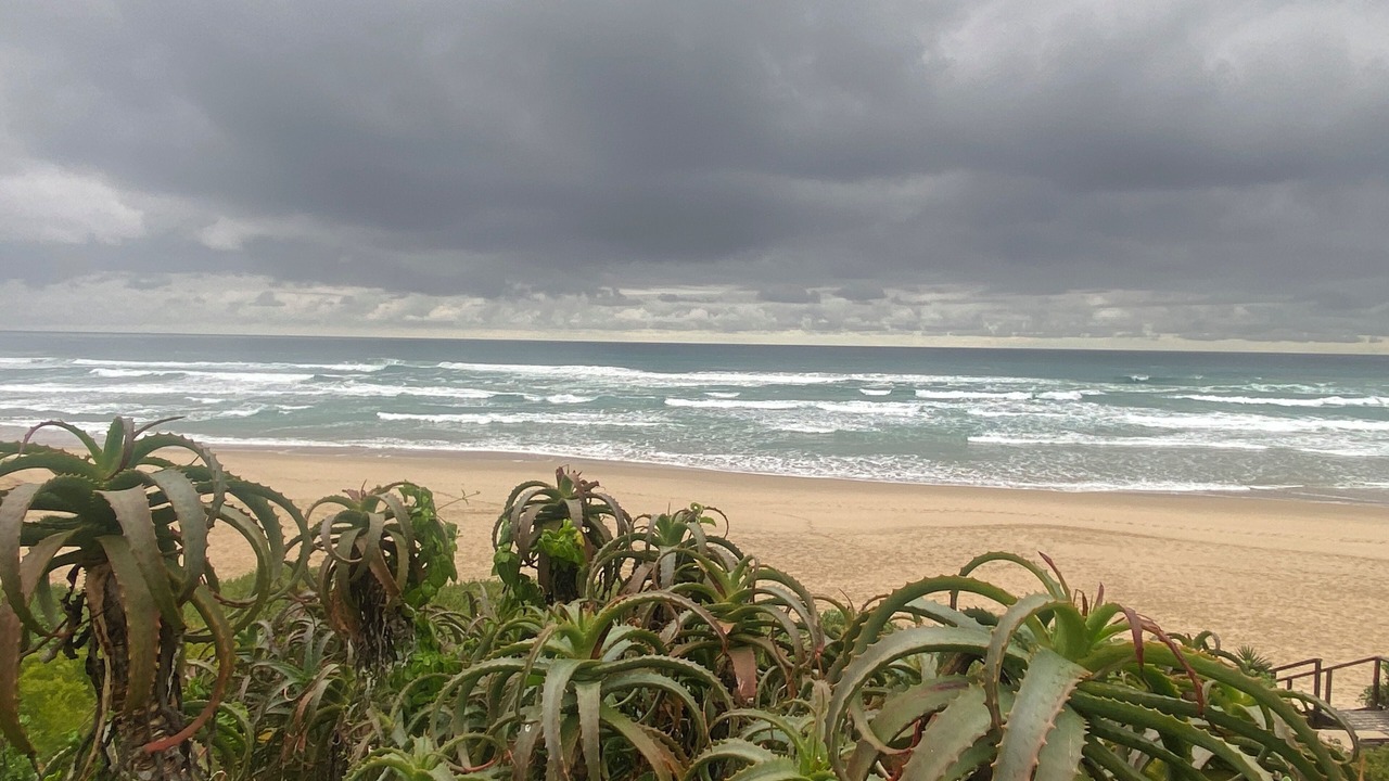 Photo of Outdoor in Wilderness Beach