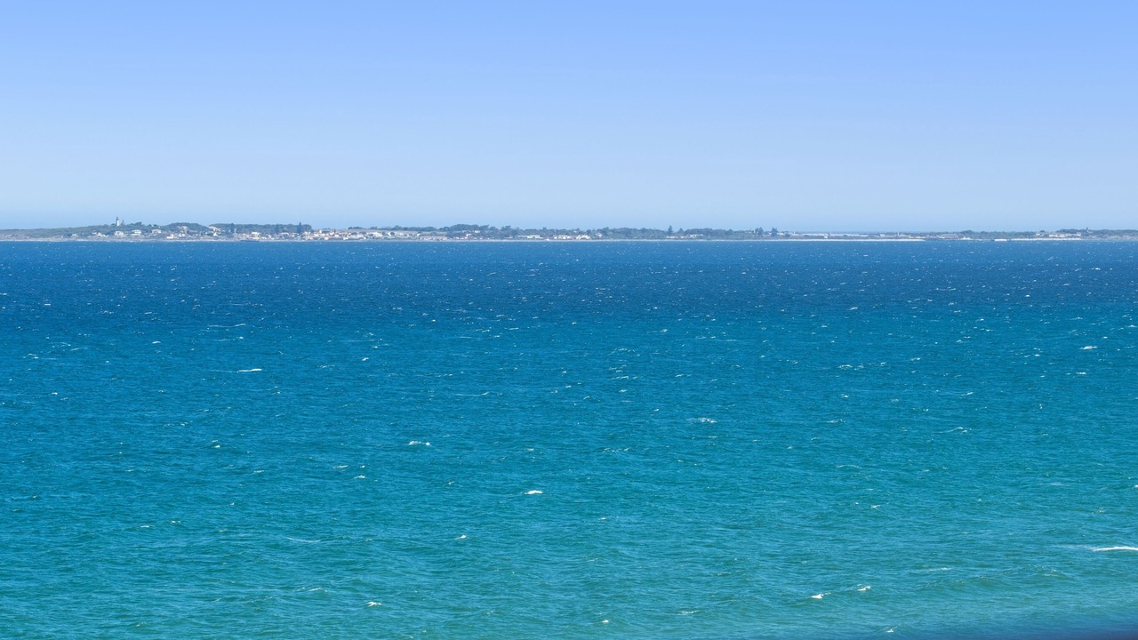 Photo of Others in Bloubergstrand