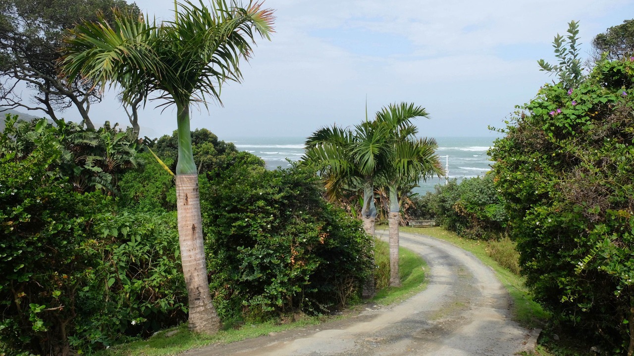 Photo of Outdoor in Port St Johns