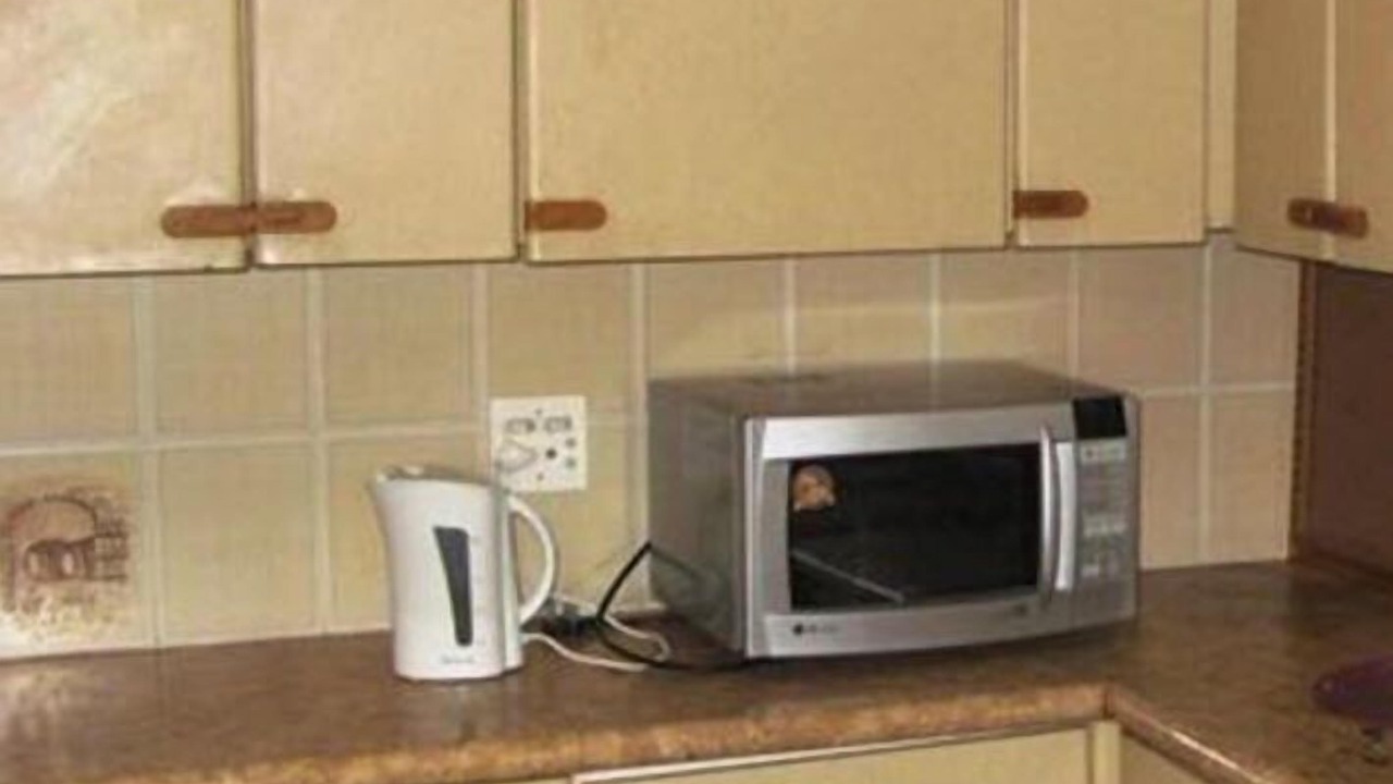 Photo of Kitchen in Greater Johannesburg Metropolitan Area