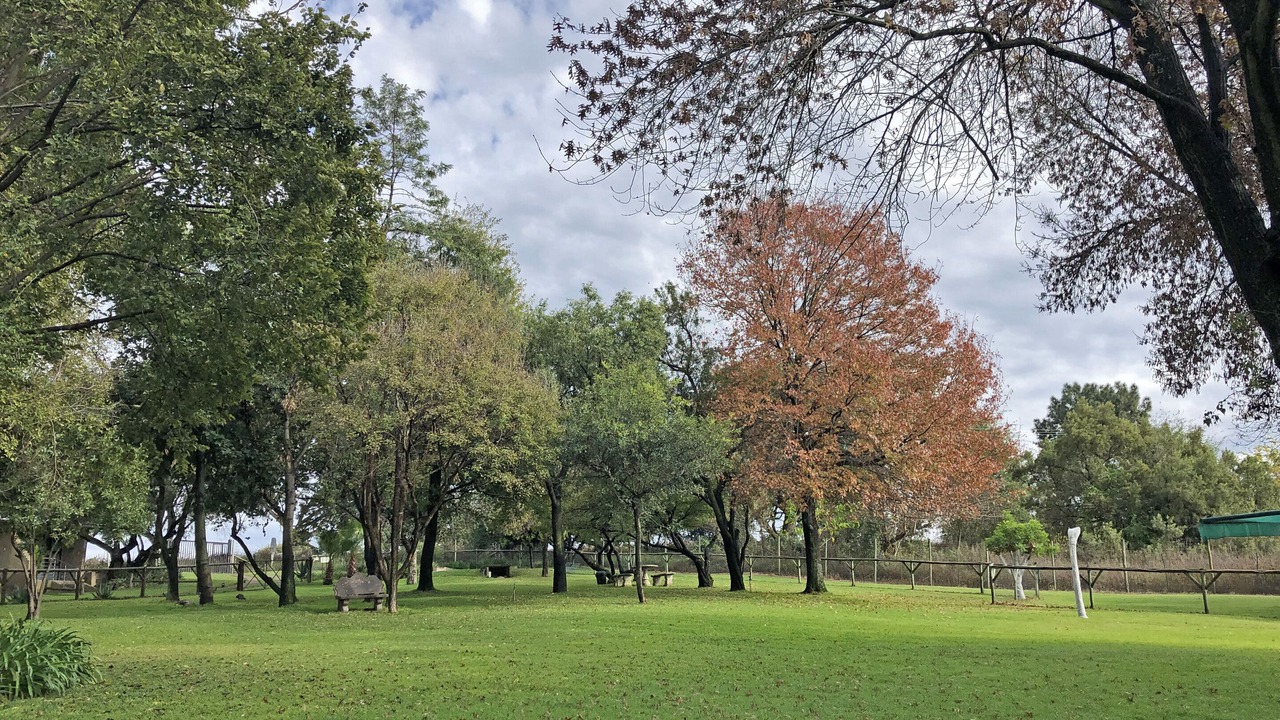 Photo of Outdoor in Greater Johannesburg Metropolitan Area