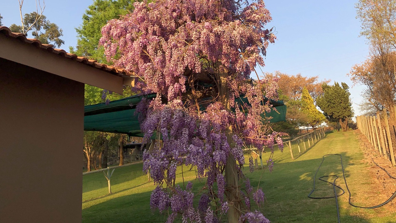 Photo of Outdoor in Greater Johannesburg Metropolitan Area