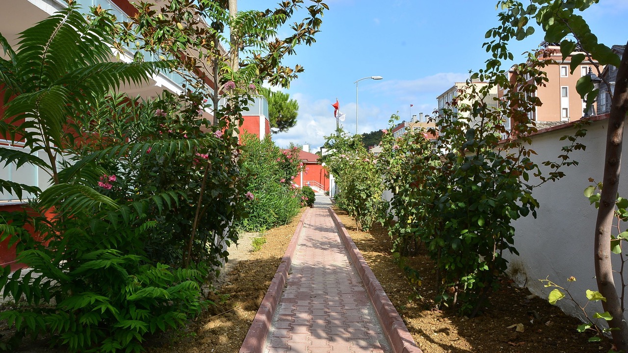 Photo of Outdoor in Inebolu