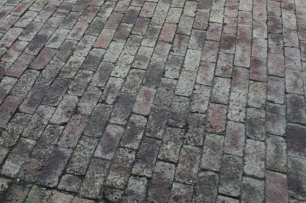 Photo of Outdoor in Parys