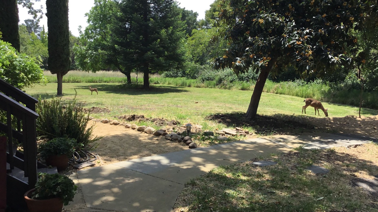 Photo of Outdoor in Green Valley