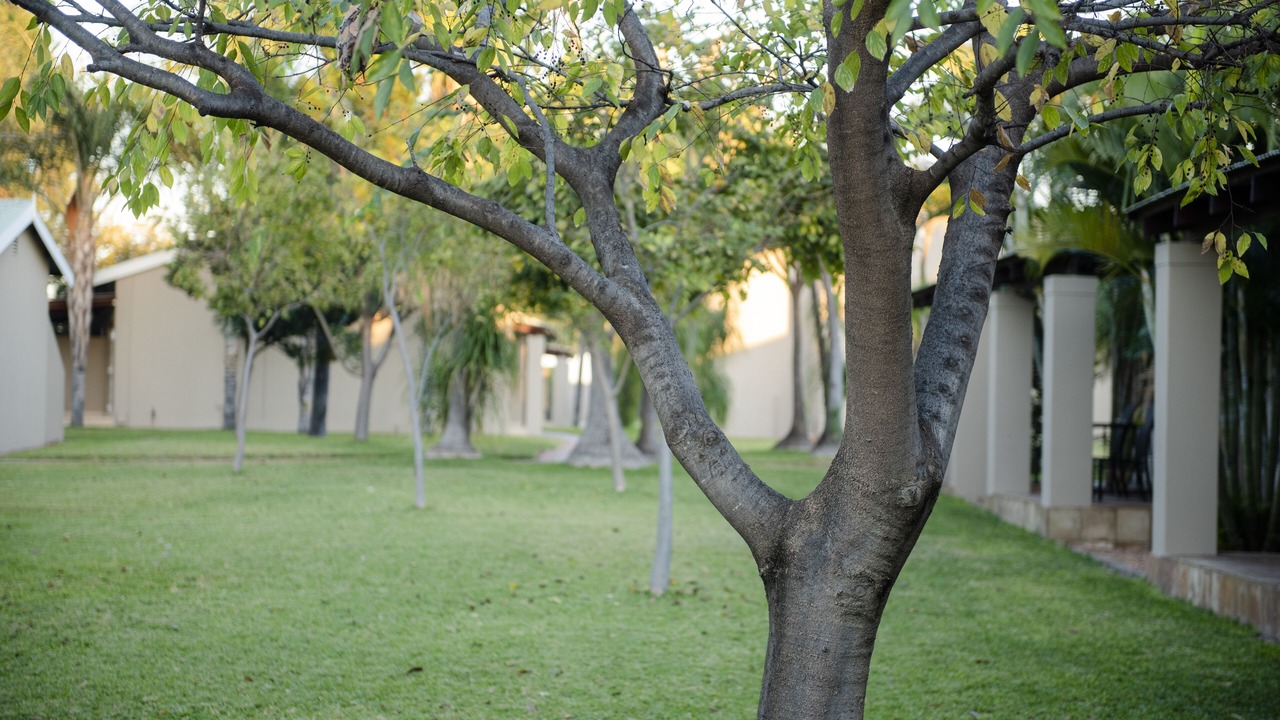 Photo of Outdoor in Lephalale