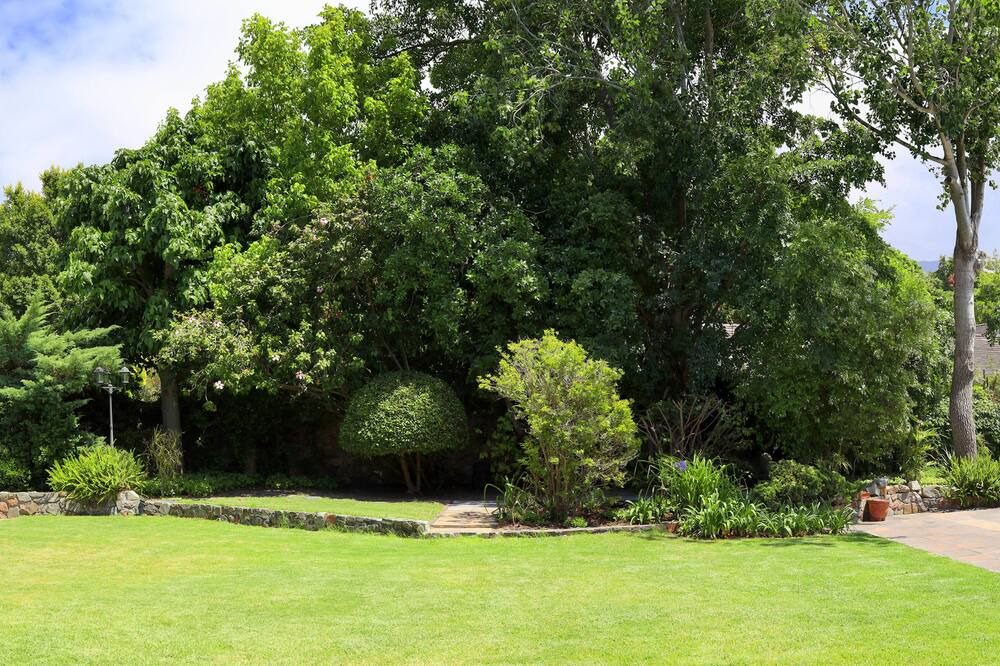 Photo of Outdoor in Alphen