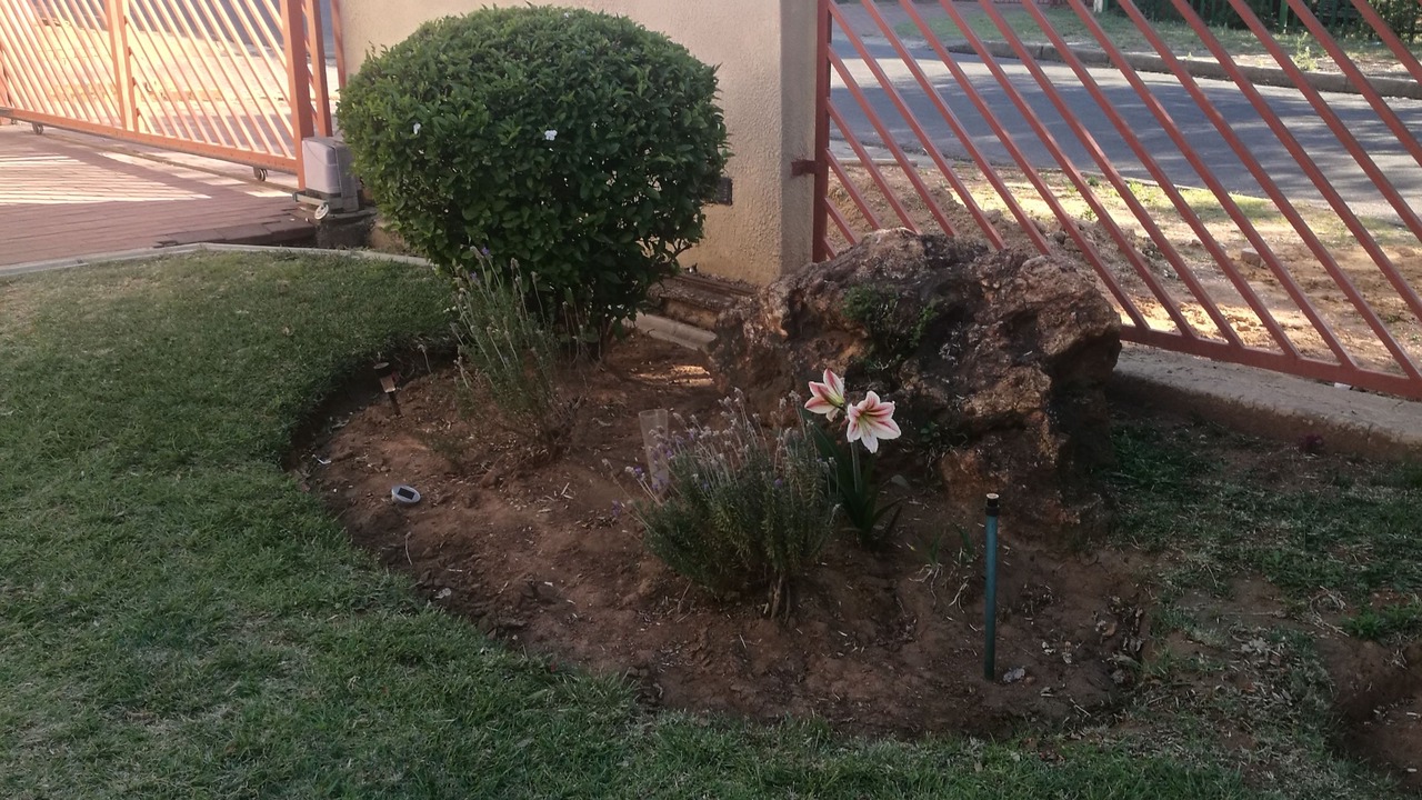 Photo of Outdoor in Primrose