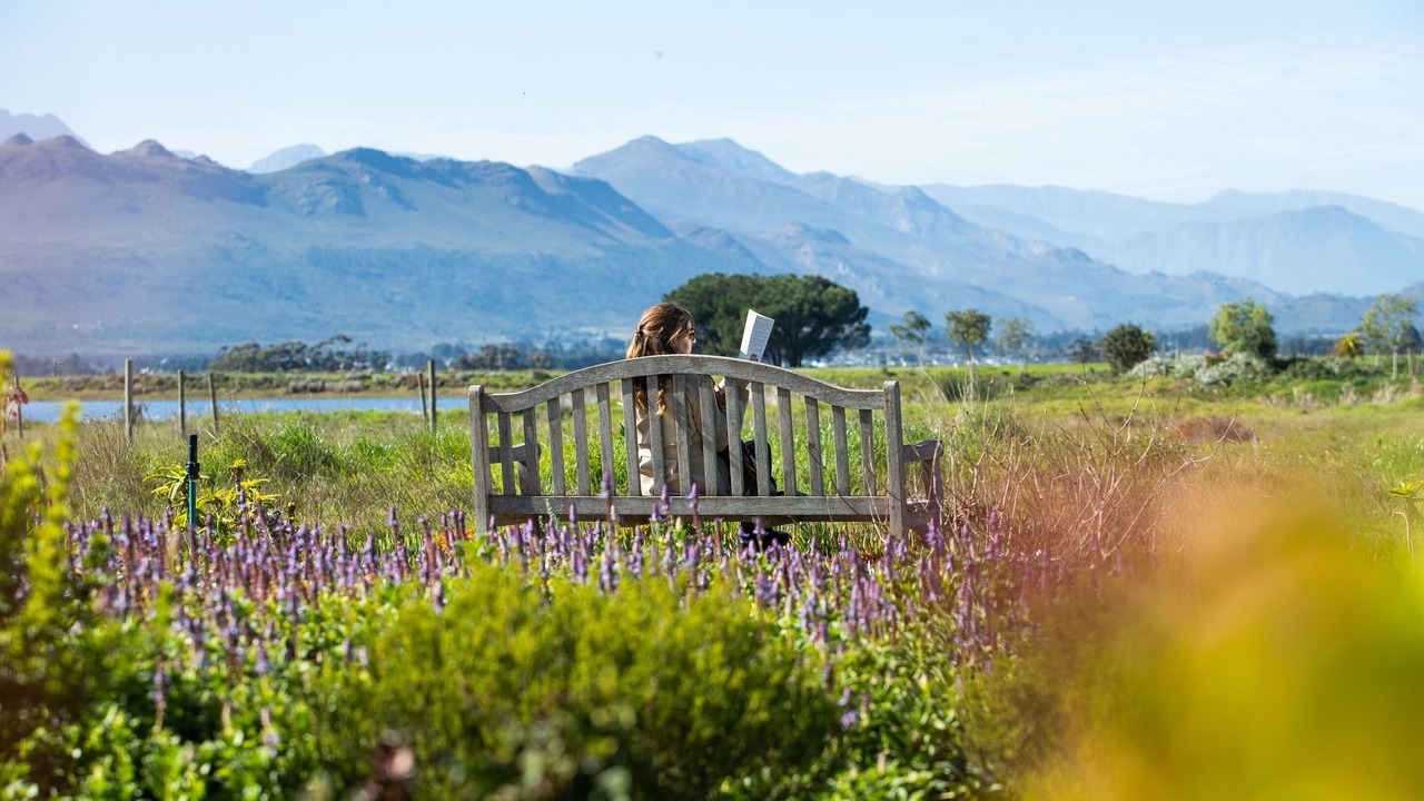 Photo of Outdoor in Paarl