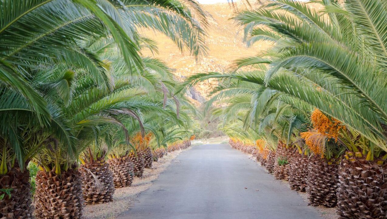 Photo of Outdoor in Boesmanspad
