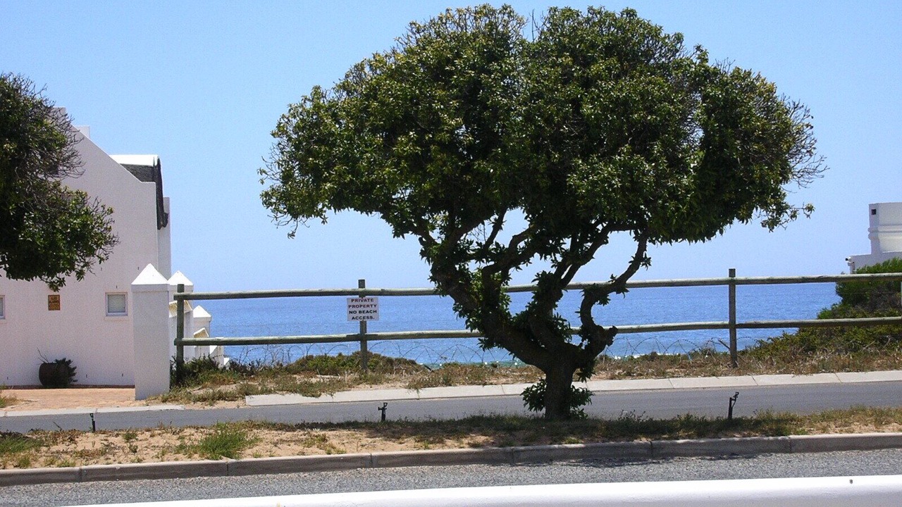 Photo of Outdoor in Stompneusbaai