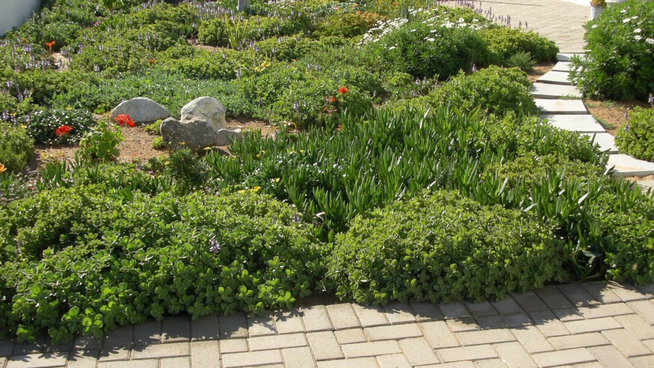 Photo of Outdoor in Stompneusbaai