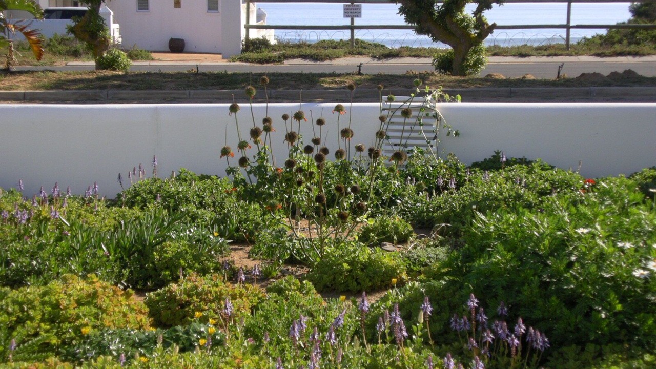 Photo of Outdoor in Stompneusbaai
