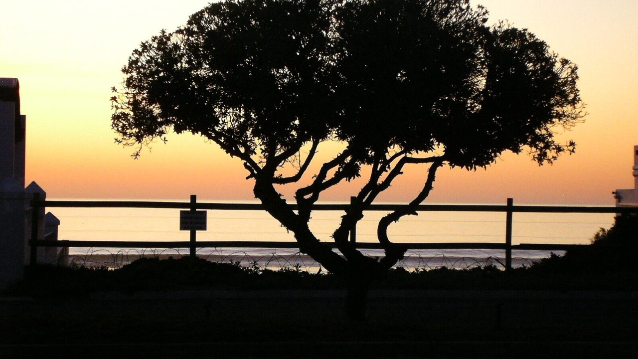 Photo of Outdoor in Stompneusbaai