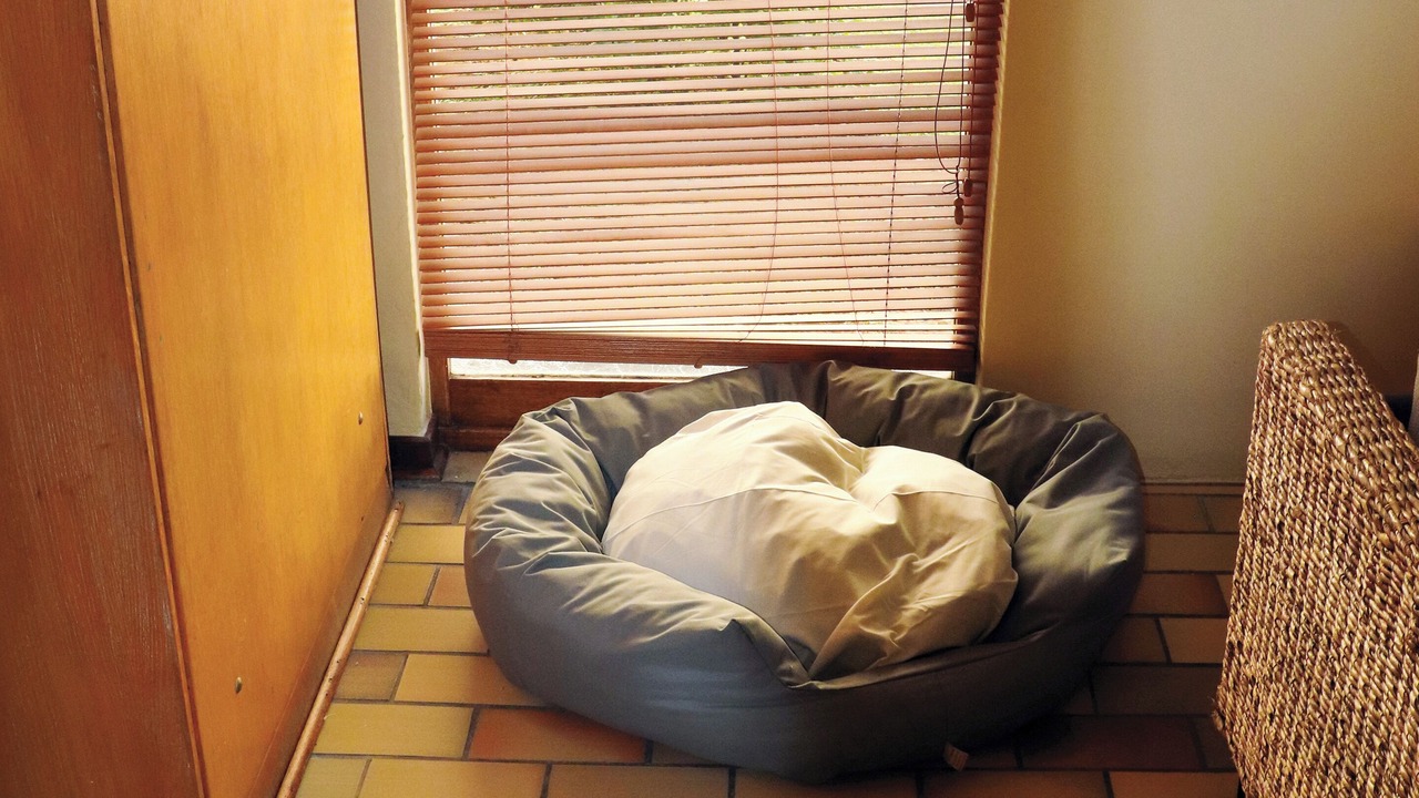 Photo of Bedroom in Jagersrust