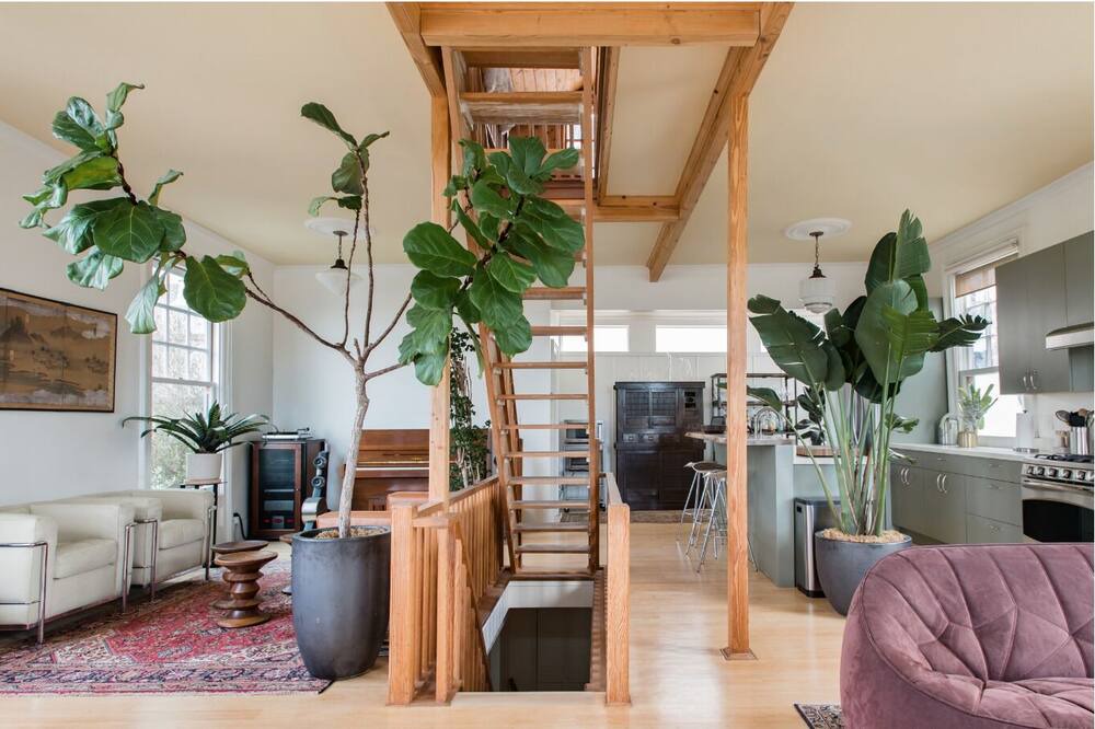 Photo of Livingroom in Glen Park