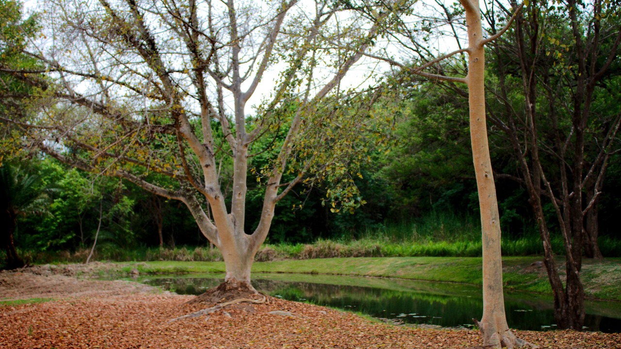 Photo of Outdoor in Hazyview