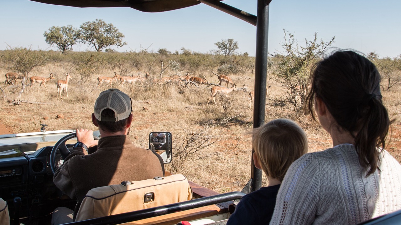 Photo of Others in Madikwe Game Reserve