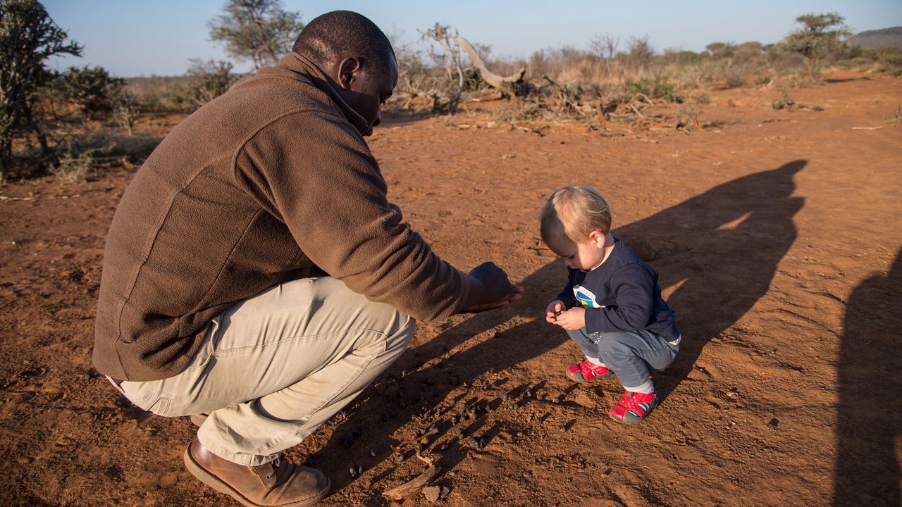 Photo of Others in Madikwe Game Reserve