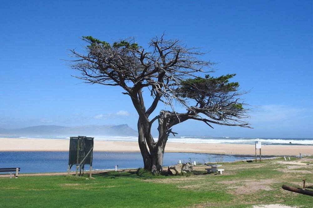 Photo of Others in Westcliff