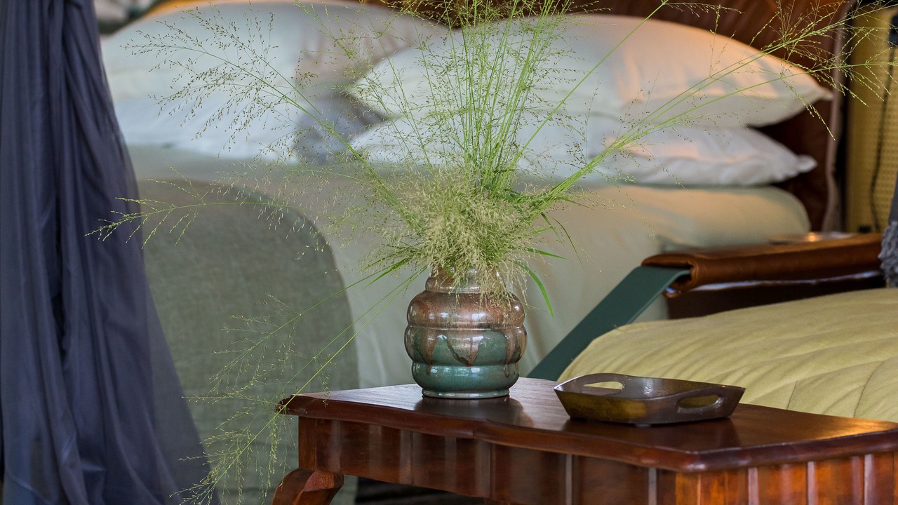 Photo of Outdoor in Thorny Bush Game Reserve