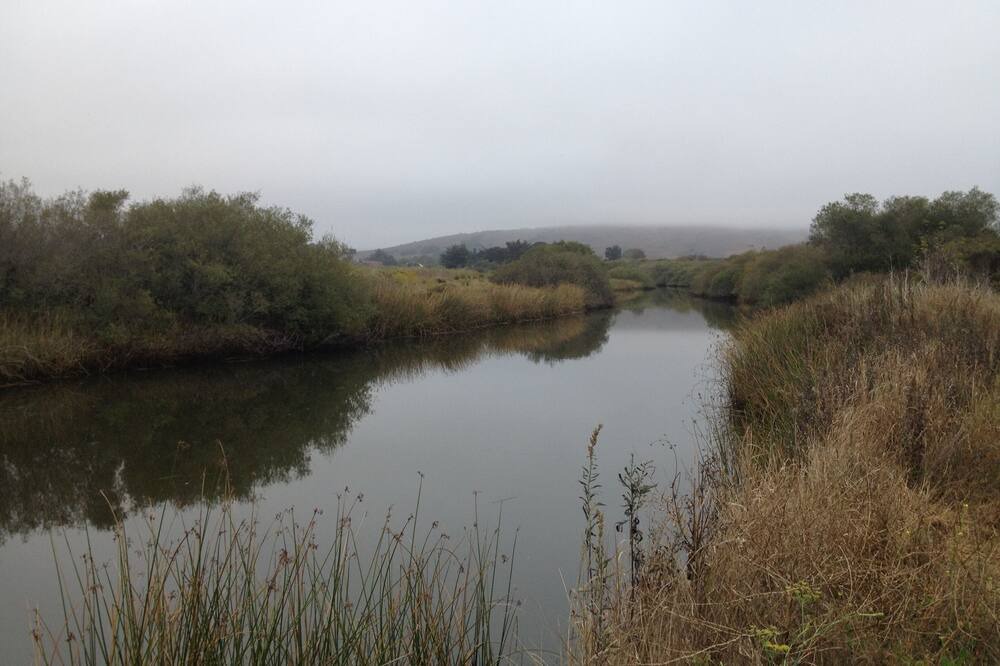 Photo of Outdoor in Point Reyes Station