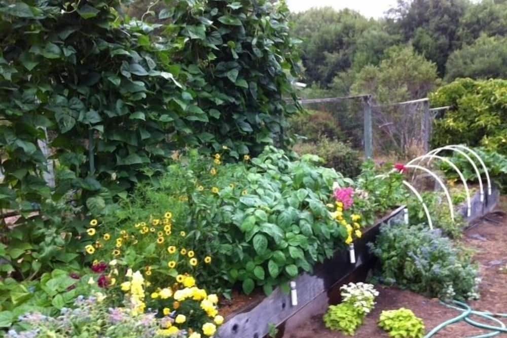 Photo of Outdoor in Point Reyes Station