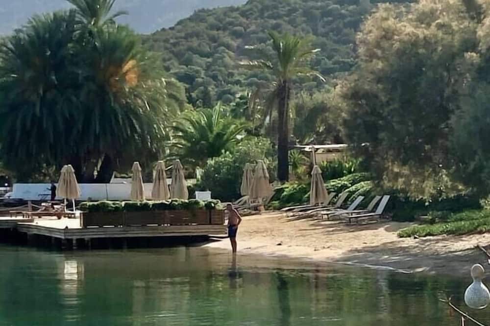 Photo of Others in Torba